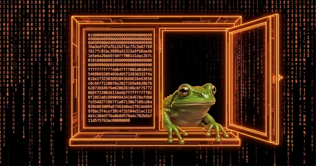 Explorer les images dissimulées dans la blockchain Bitcoin : révélations et implications